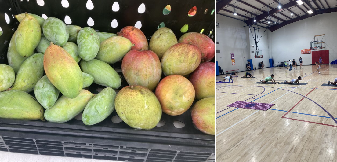 From Mangos to Movement: Why We Keep Showing Up